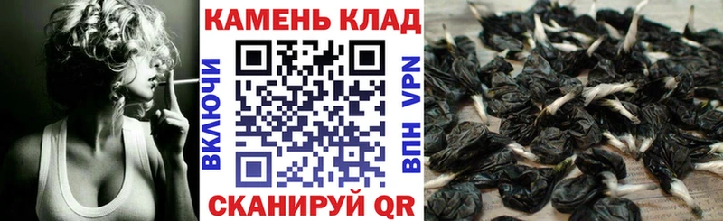 ссылка на мегу онион  Карачев  Гашиш индика сатива 