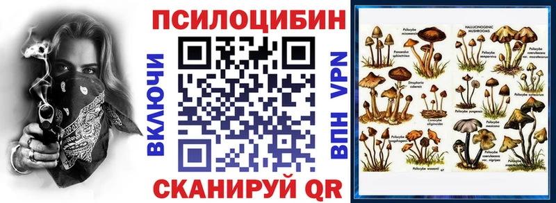 Галлюциногенные грибы Cubensis  цены   Карачев 